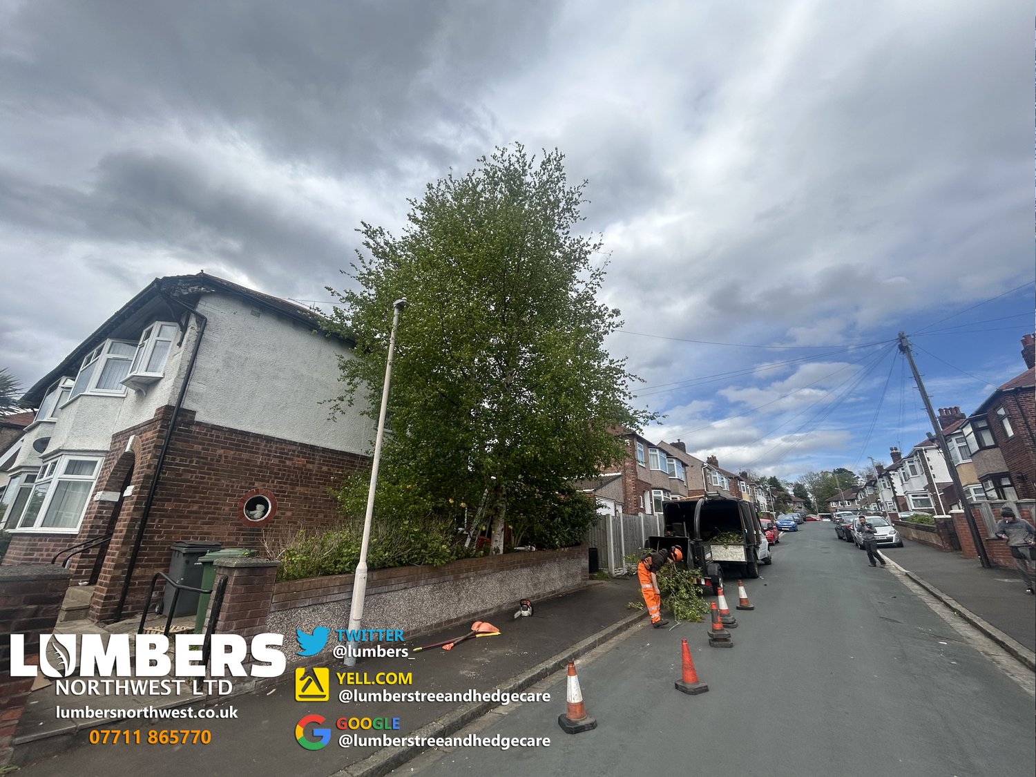 Tree Pollarding in Wirral