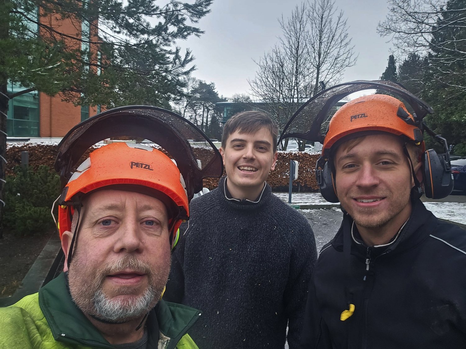 Tree Surgeon Near Me